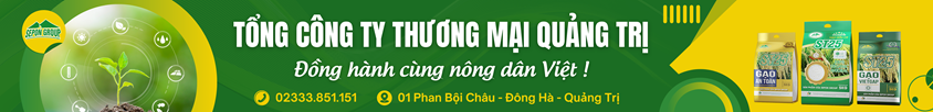 tong-cty-thuong-mai-quang-tri