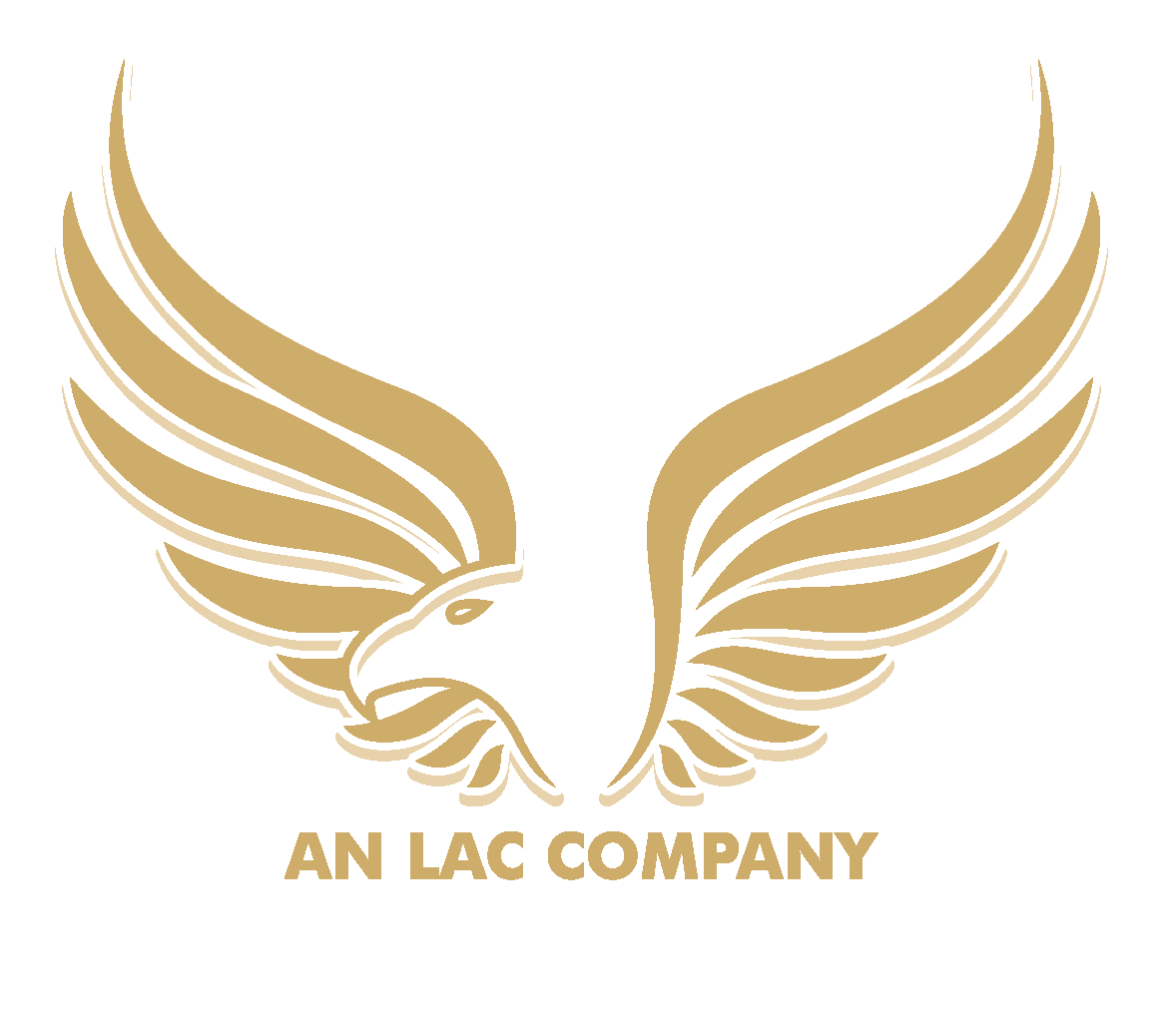 cong-ty-an-lac-anh-binh-tay-nguyen