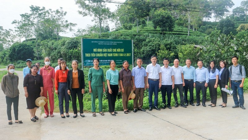 Tỉnh Thái Nguyên ưu tiên phát triển các sản phẩm nông nghiệp chủ lực và sản xuất các sản phẩm hữu cơ (Dự án sản xuất chè tại Khe cốc huyện Phú Lương đạt chứng nhận hữu cơ theo tiêu chuẩn TCVN 11041).