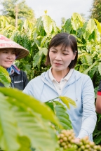 Nestlé tăng cường áp dụng nông nghiệp tái sinh, tăng năng suất và giảm phát thải khí nhà kính