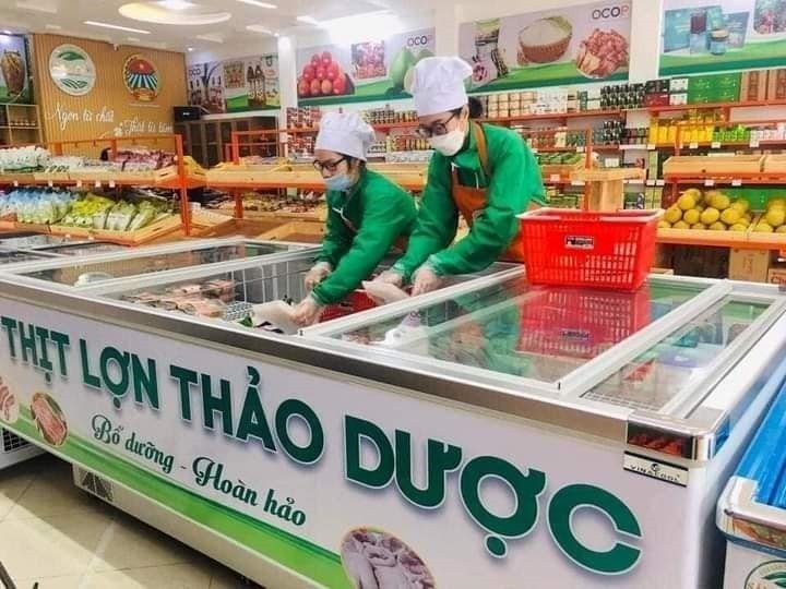 Hợp tác xã sản xuất, chế biến thực phẩm an toàn Sáng Nhung xây dựng và phát triển thương hiệu thịt lợn Thảo dược hướng theo hữu cơ Hợp tác xã sản xuất, chế biến thực phẩm an toàn Sáng Nhung xây dựng và phát triển thương hiệu thịt lợn Thảo dược hướng theo hữu cơ
