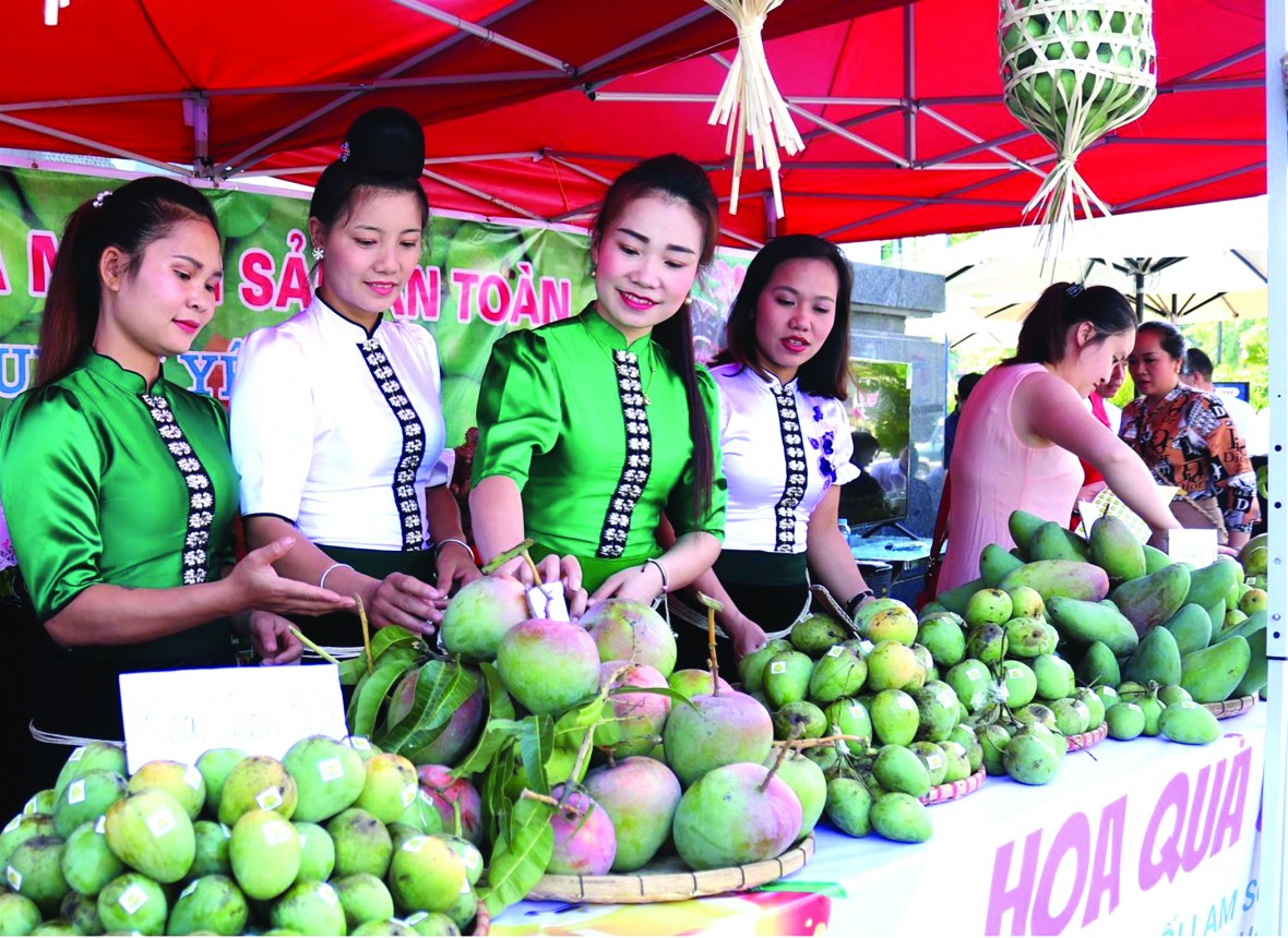 Thực trạng và giải pháp phát triển nông nghiệp tuần hoàn ở vùng đồng bào DTTS và miền núi
