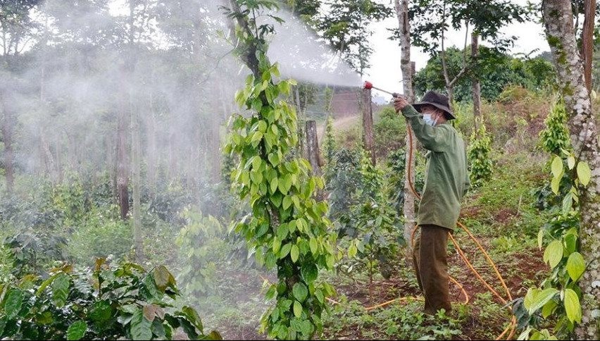 Đắk Nông: Ngành vật tư nông nghiệp "hái ra tiền"