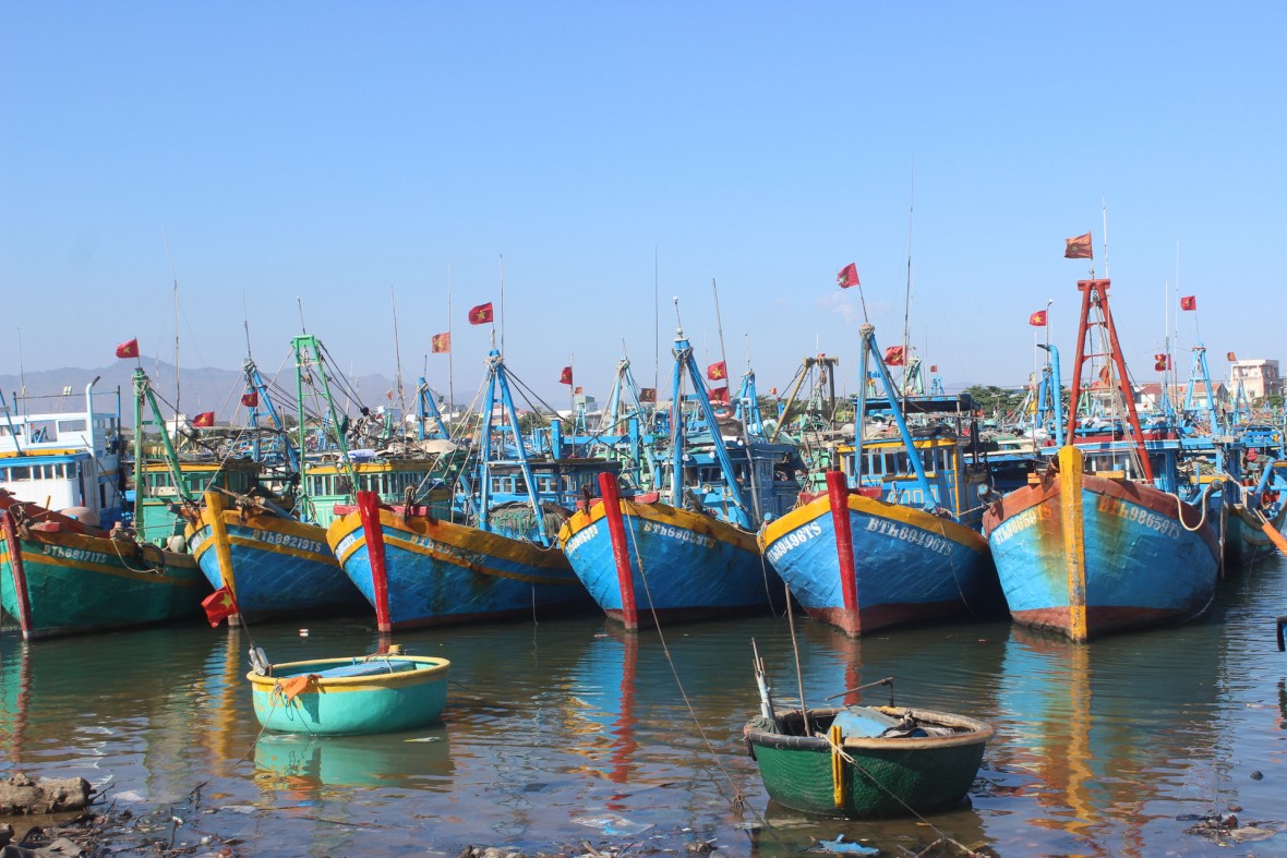 Bình Thuận: Công bố danh sách 2.531 tàu cá 