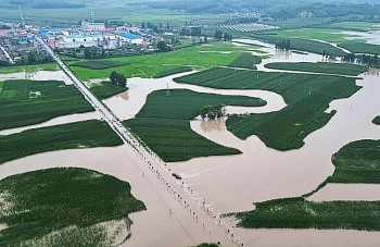 Nắng nóng, mưa lũ và bão: 