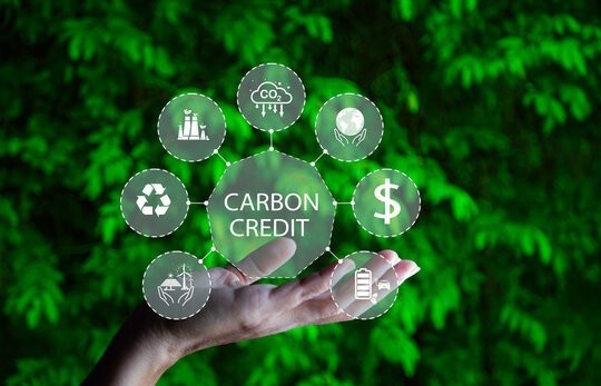 Tín chỉ carbon là gì?
