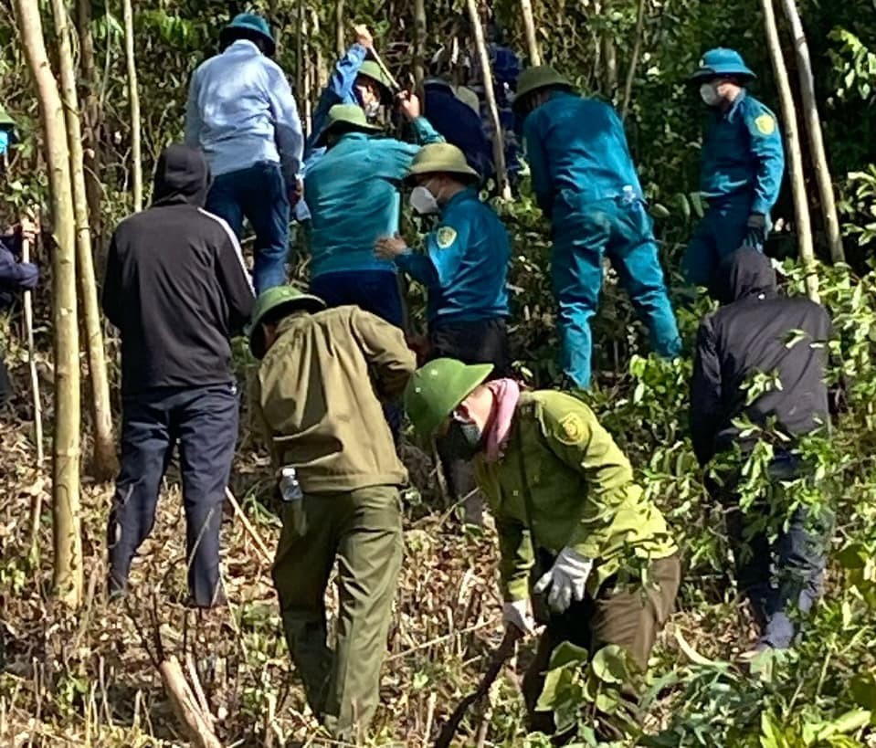 Cháy lớn thiêu rụi nhiều hecta rừng trồng ở Quảng Bình