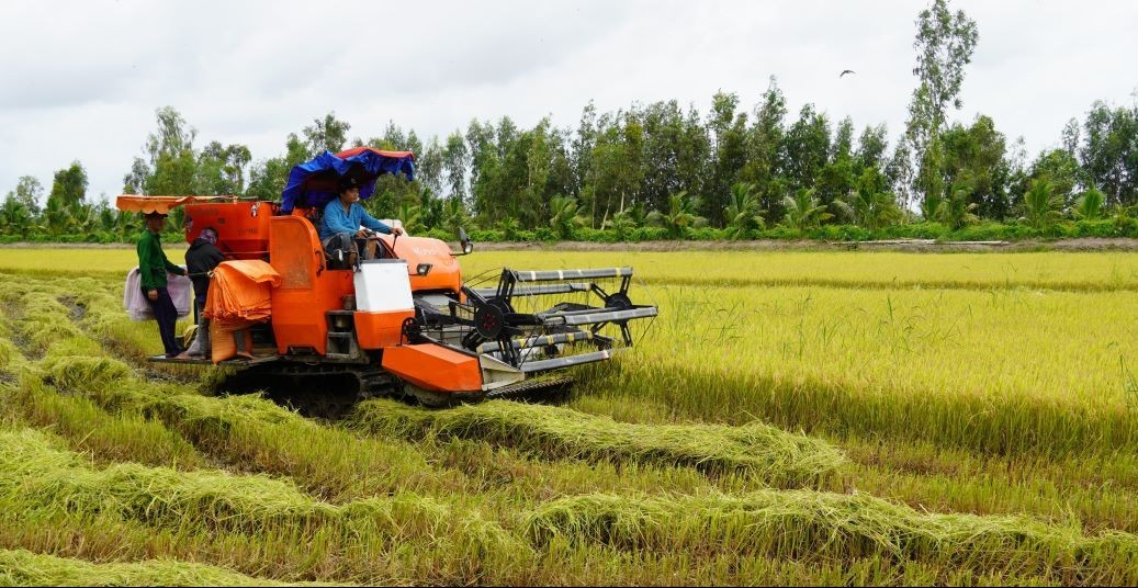 Sóc Trăng: Nông dân "gặt" hái thành công