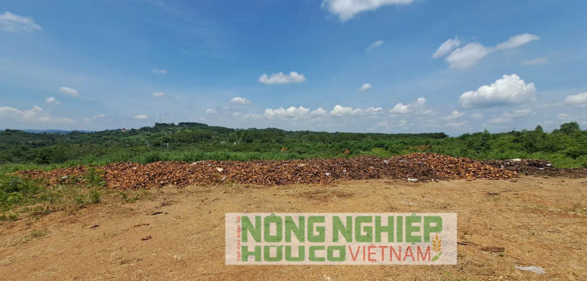 Cần xử lý nghiêm việc Công ty nông sản Hoàng Sang đổ vỏ sầu riêng gây ô nhiễm