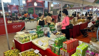 Quảng bá và đẩy mạnh tiêu thụ các sản phẩm OCOP khu vực Đông Bắc