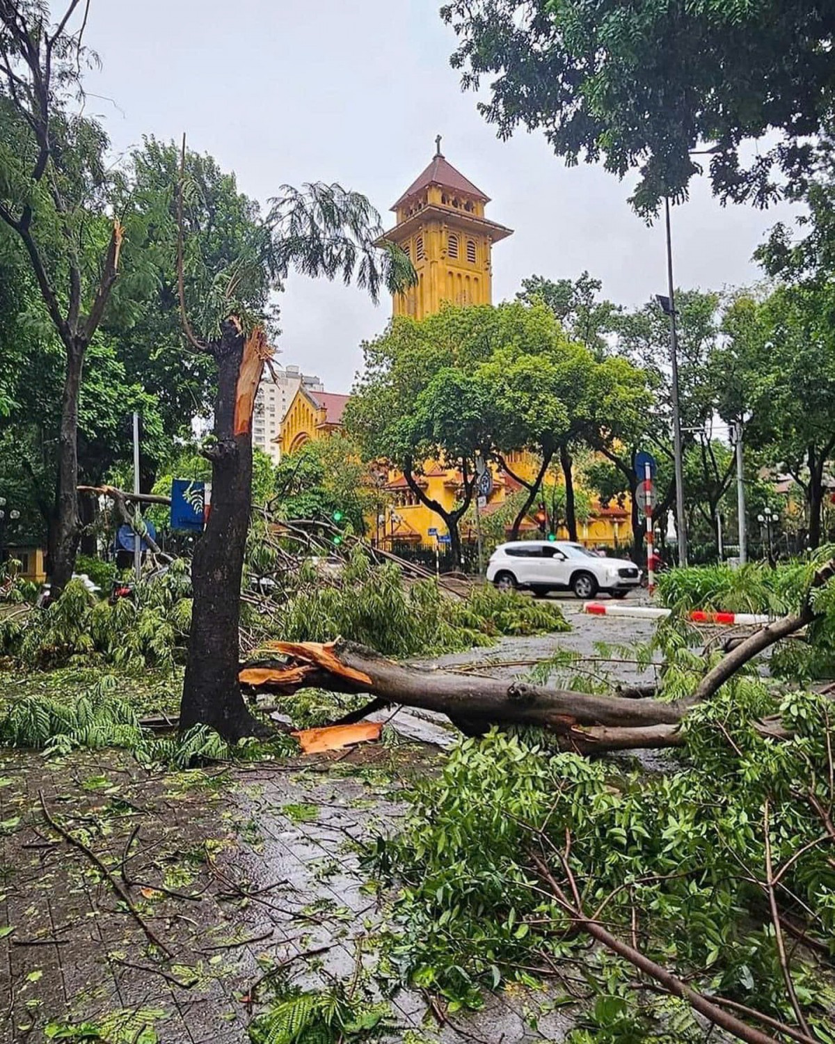 Hà Nội khắc phục hậu quả sau bão số 3 Hà Nội khắc phục hậu quả sau bão số 3