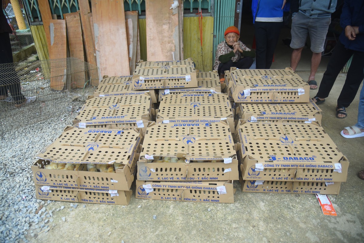 2.000 con gà giống đến với bà con xã Lương Thông sau bão số 3 2.000 con gà giống đến với bà con xã Lương Thông sau bão số 3