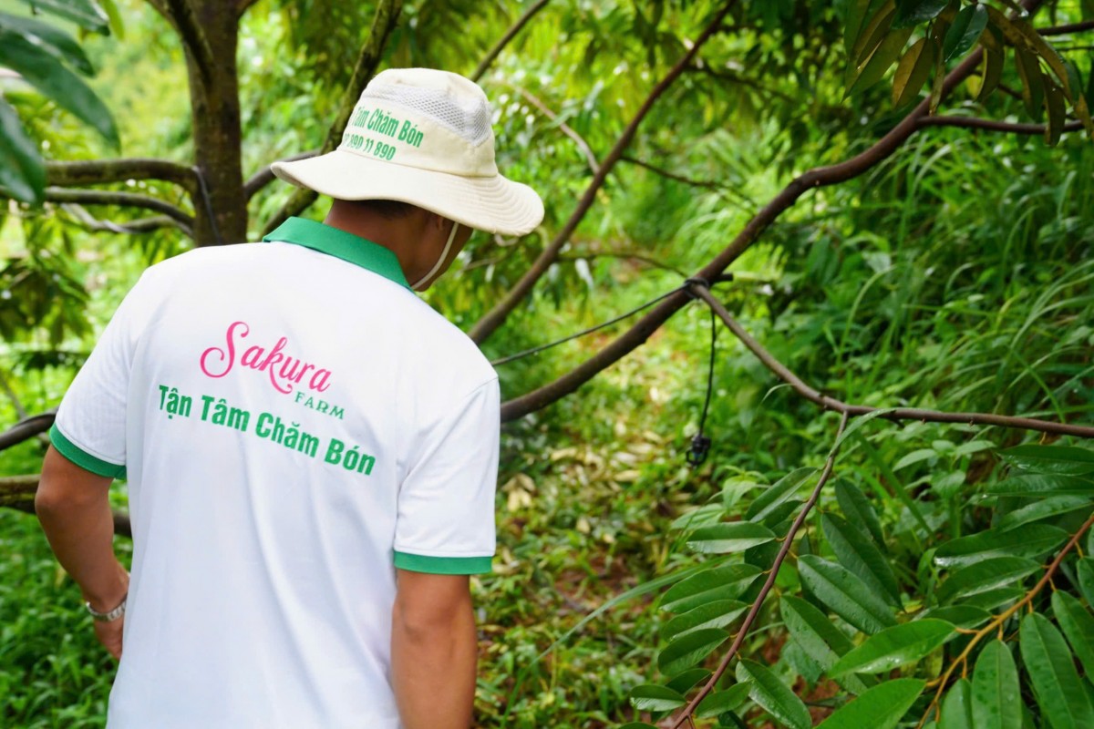 Sakura farm: Nâng tầm nông sản Việt bằng tiêu chuẩn xuất khẩu châu Âu