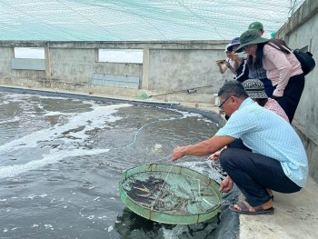 Ngành thủy sản Quảng Bình : Vướng mắc trong quá trình sản xuất nông nghiệp hữu cơ