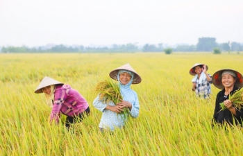 Khuyến khích phát triển nông nghiệp xanh, hữu cơ, công nghệ cao