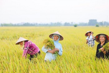 Khuyến khích phát triển nông nghiệp xanh, hữu cơ, công nghệ cao