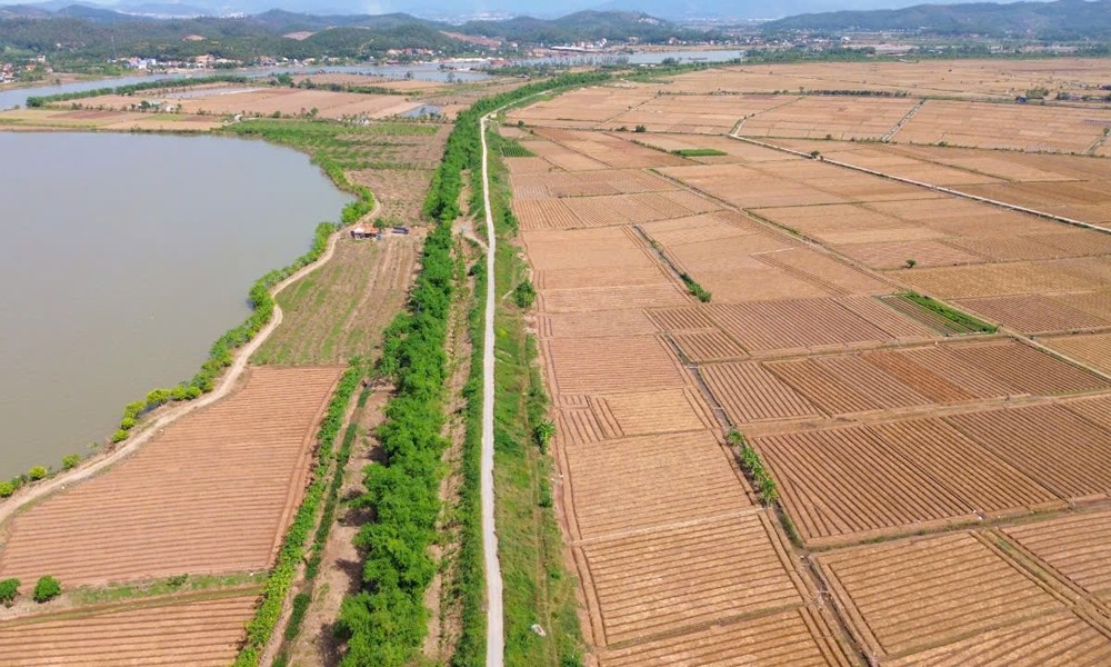 Nam Định tăng cường quản lý chặt chẽ, hiệu quả tài nguyên đất đai, thúc đẩy các hoạt động sản xuất nông nghiệp bền vững - Ảnh minh họa.