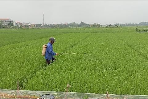 Chuyển dịch cơ cấu kinh tế hiệu quả, nâng cao thu nhập cho người dân