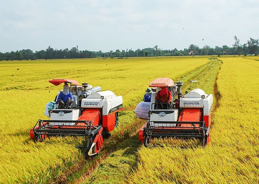 Áp dụng tối đa cơ giới hóa vào sản xuất nông nghiệp nâng cao hiệu quả kinh tế.