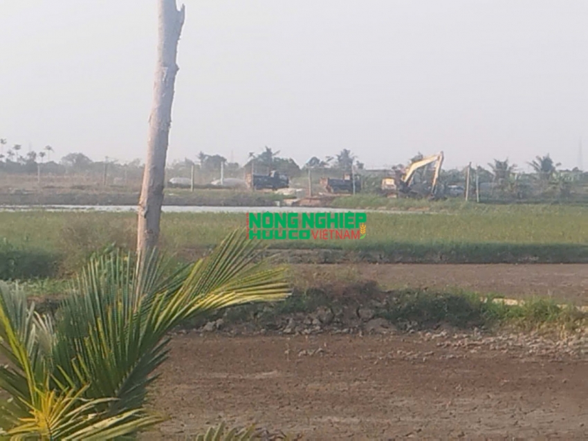Cần xử lý nghiêm vấn nạn “đất tặc” trên địa bàn xã Quyết Tiến, huyện Tiên Lãng