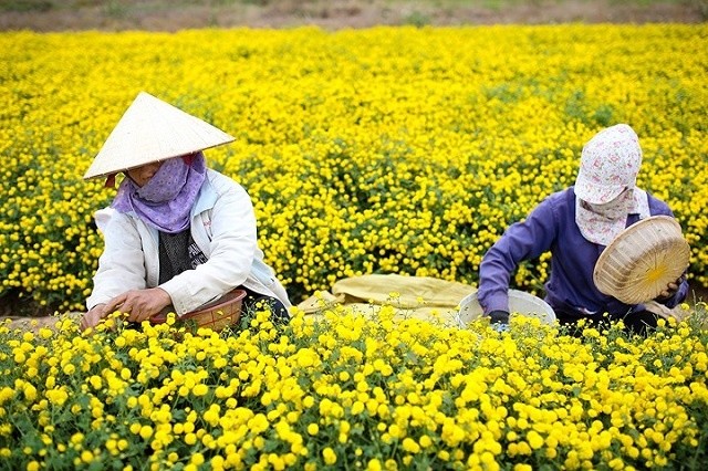 Hưng Yên đã triển khai các chương trình bảo vệ môi trường cũng được thực hiện như Đề án phát triển nông nghiệp bền vững và giảm phát thải khí nhà kính - Ảnh minh họa.