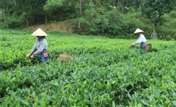 "Cần câu" hiệu quả cho người dân Sóc Trăng