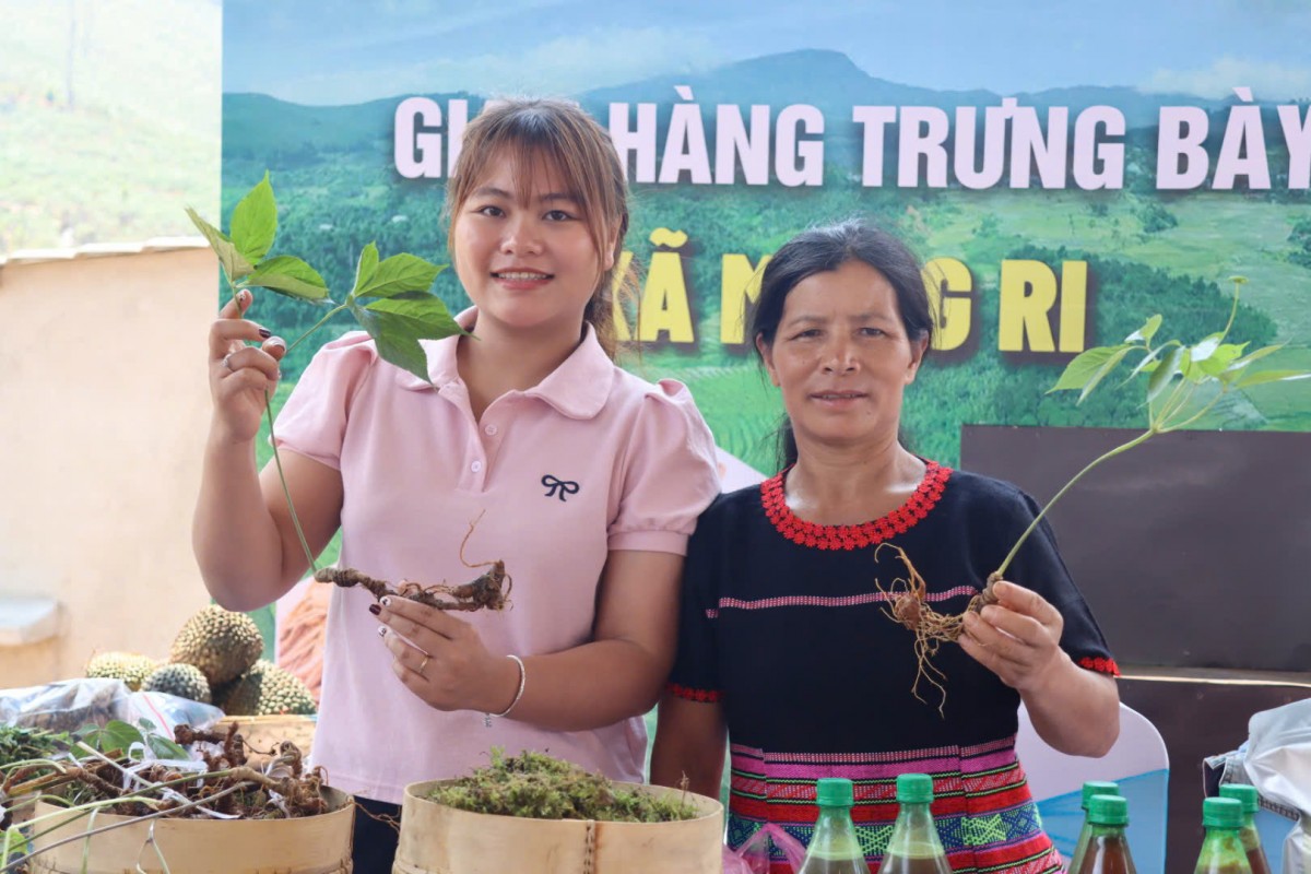 Kỳ vọng vào hội thảo Sâm Ngọc Linh: Người Xơ Đăng sẵn sàng nhường nhà cho du khách ở