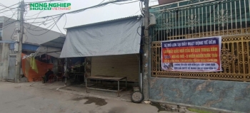 hai phong can co bien phap xu ly lo giet mo lon tu phat ngay trong khu dan cu