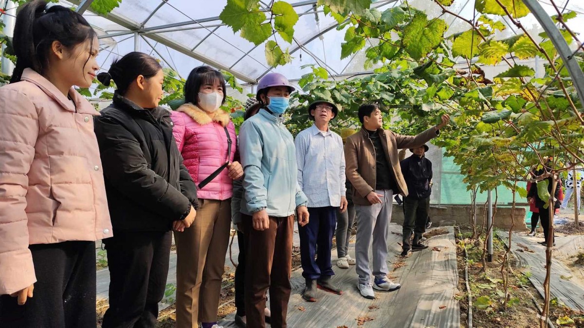 Đại biểu thăm quan mô hình. Ảnh: Cổng thông tin điện tử Quảng Ninh