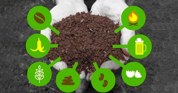 Phân vi sinh Bokashi: Tương lai cho nông nghiệp bền vững tại Việt Nam