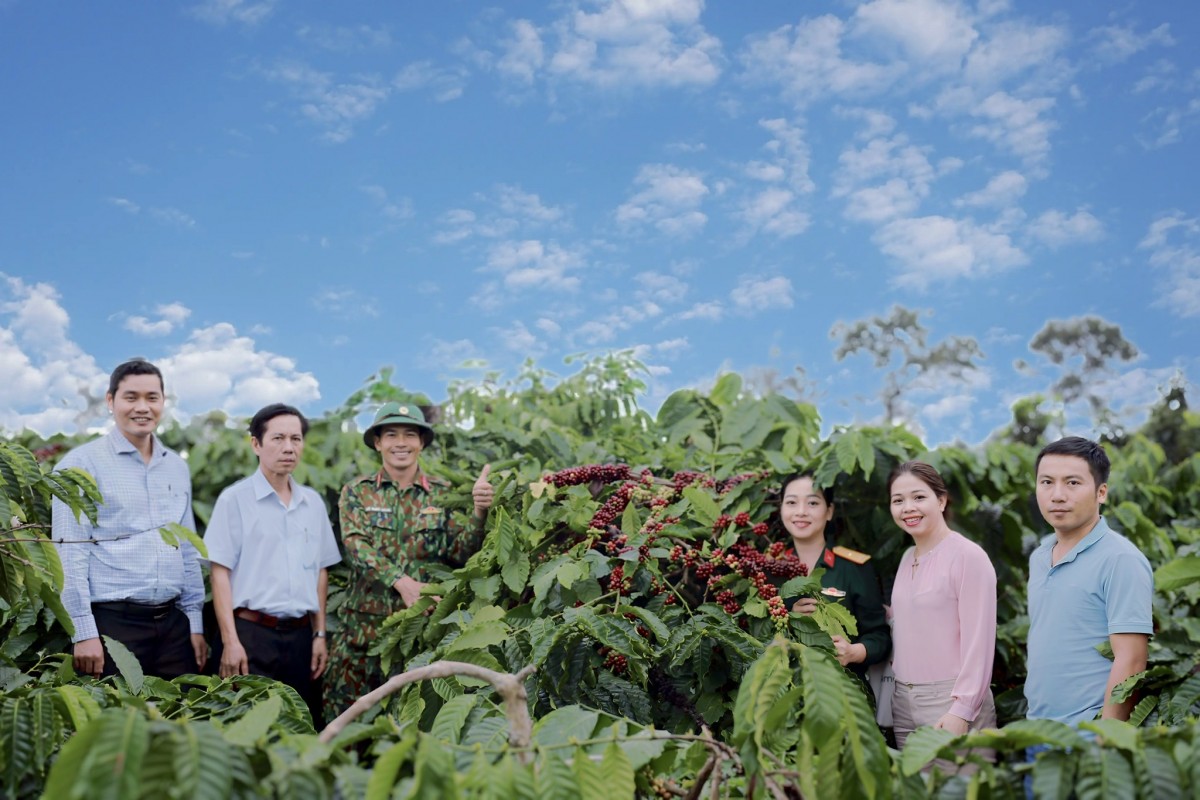 Sản phẩm cà-phê Robusta “Buôn Ma Thuột” được ban hành quy chế quản lý chỉ dẫn địa lý
