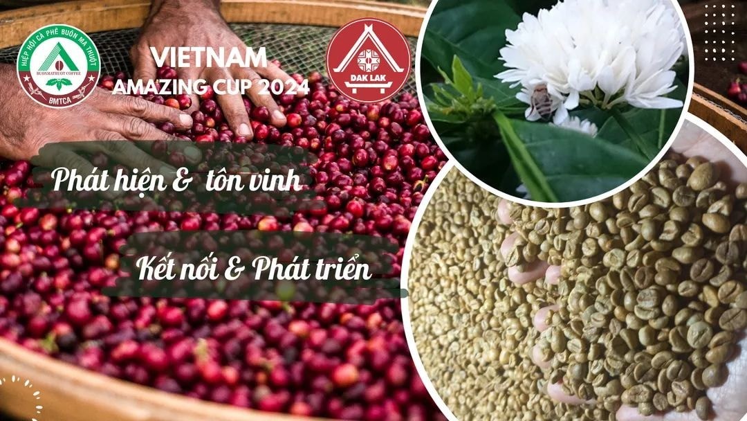 Sản phẩm cà-phê Robusta “Buôn Ma Thuột” được ban hành quy chế quản lý chỉ dẫn địa lý