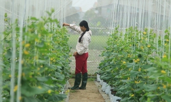 Chuyển đổi số - Chìa khóa nâng tầm kinh tế tập thể ở Phú Thọ