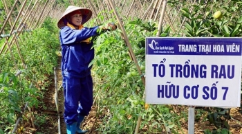 Hành trình sản phẩm nông nghiệp hữu cơ đến với người tiêu dùng