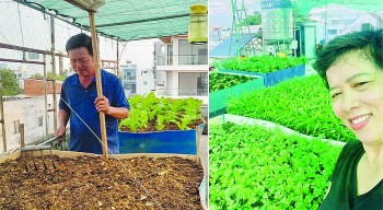 Nông nghiệp hữu cơ giữa lòng đô thị