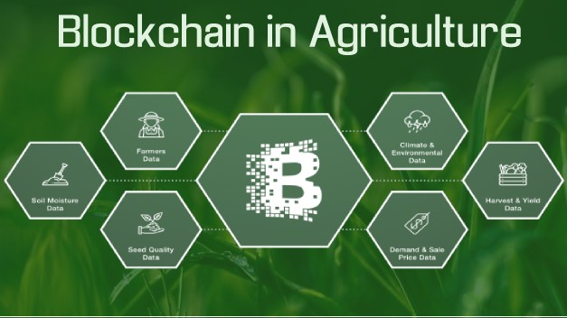 Ứng dụng công nghệ blockchain trong quản lý chuỗi cung ứng nông sản hữu cơ