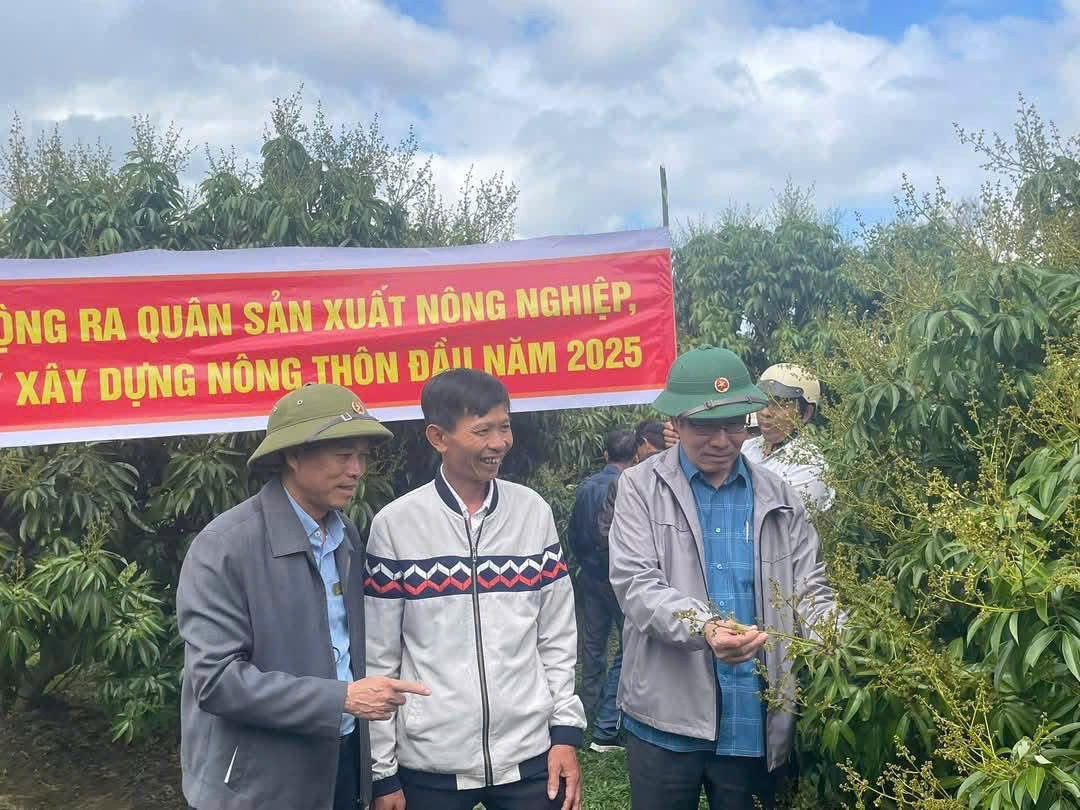 Đắk Lắk: Lãnh đạo huyện Krông Bông thăm quan, kiểm tra một số mô hình sản xuất đầu năm 2025