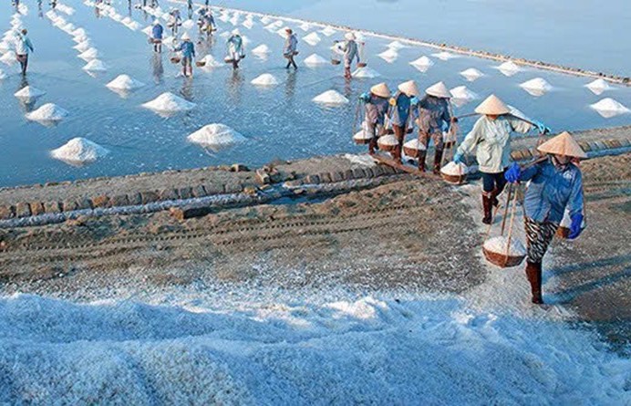 "Nâng tầm giá trị hạt muối Việt Nam"