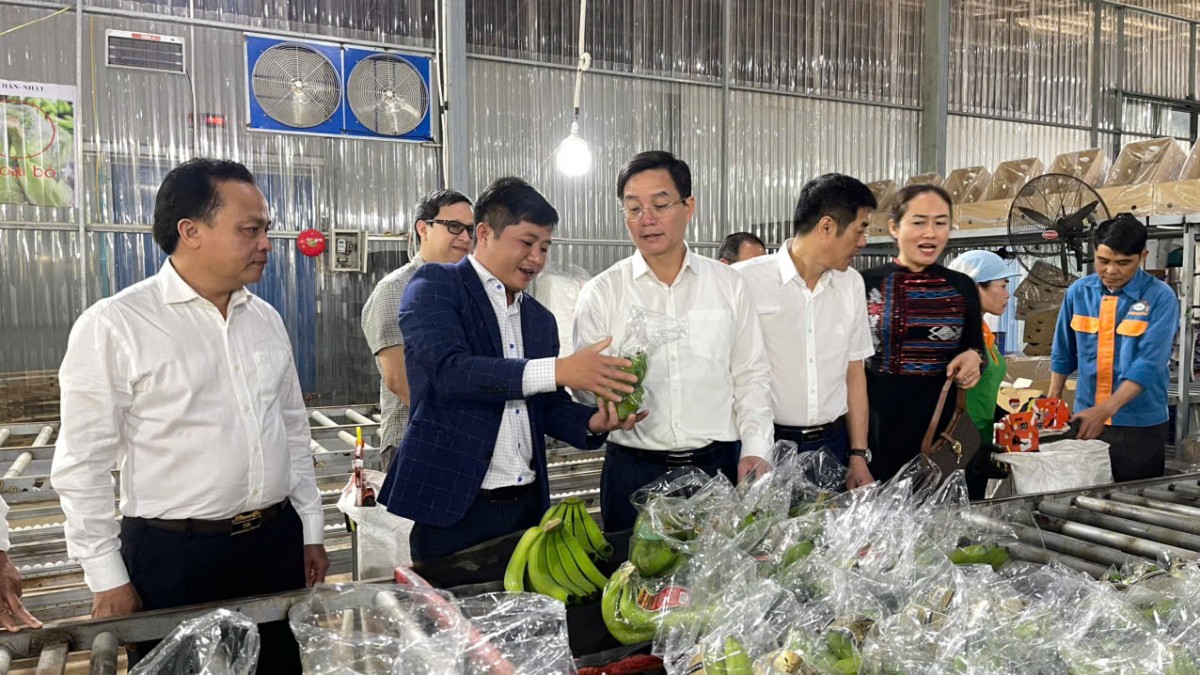 Bí thư Tỉnh ủy Đắk Lắk thăm, tặng quà công nhân có hoàn cảnh khó khăn tại huyện Krông Pắc