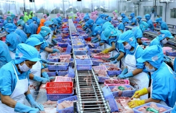 Hàng Việt Nam xuất khẩu sang EU: Vượt qua thách thức, nắm bắt cơ hội