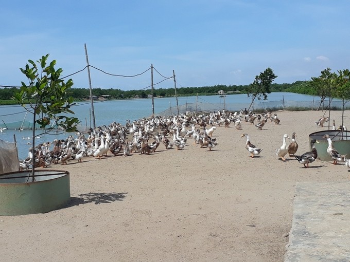 Thương hiệu 