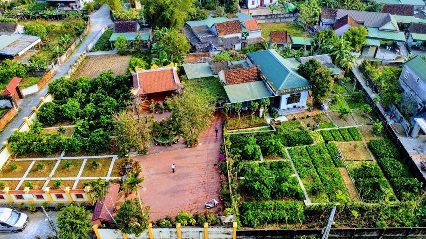 Nếu thông minh hãy trồng rau màu hữu cơ trên mảnh vườn nhà