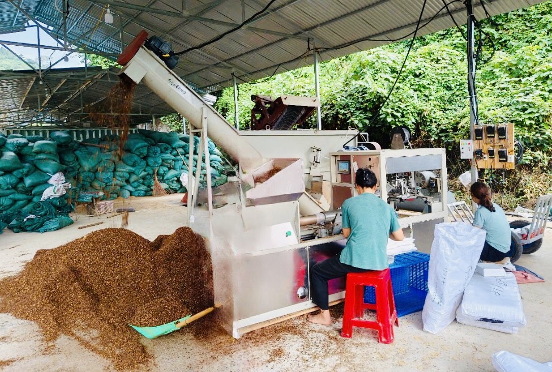 Hành trình vượt khó và ước mơ 