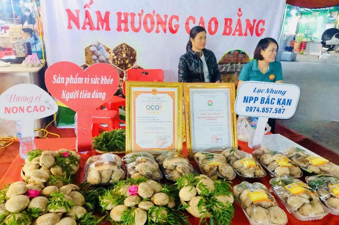 Hành trình vượt khó và ước mơ 
