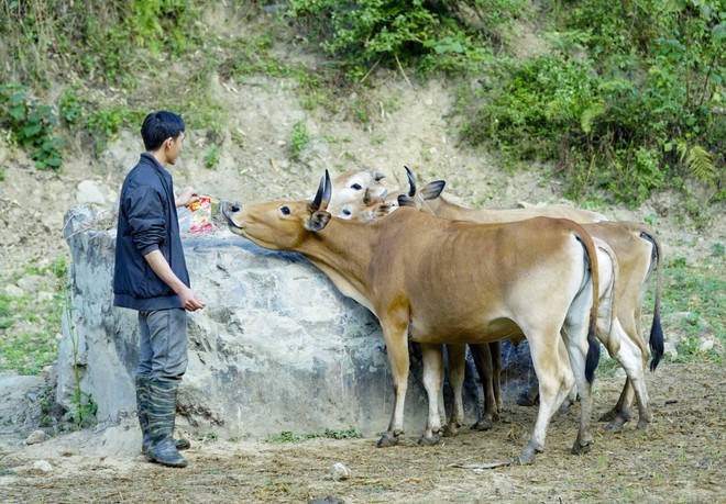 Xóa đói giảm nghèo: Quá trình không ngừng nghỉ vì cộng đồng