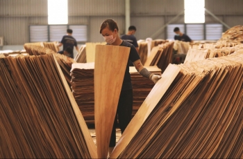 Xuất khẩu gỗ nội thất Việt Nam: Thách thức từ thuế Mỹ và cơ hội thị trường nội địa
