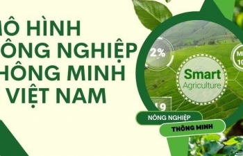 Xu hướng tất yếu của nền nông nghiệp toàn cầu là: “Thông minh”