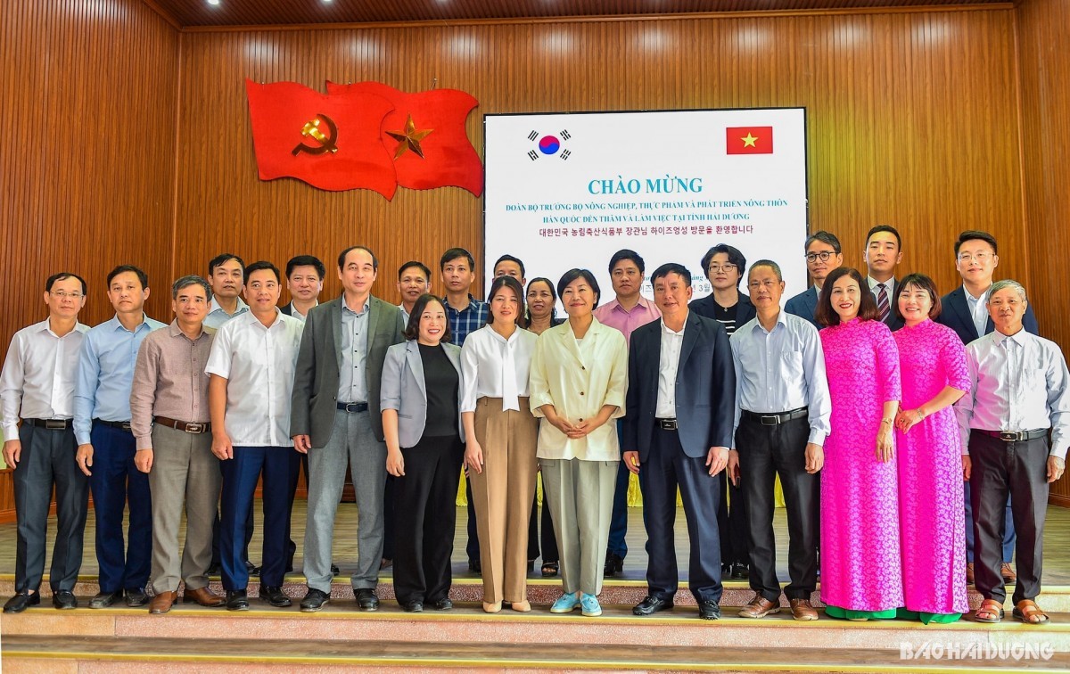 Bộ trưởng Bộ Nông nghiệp Hàn Quốc thăm vùng sản xuất cà rốt tại Hải Dương