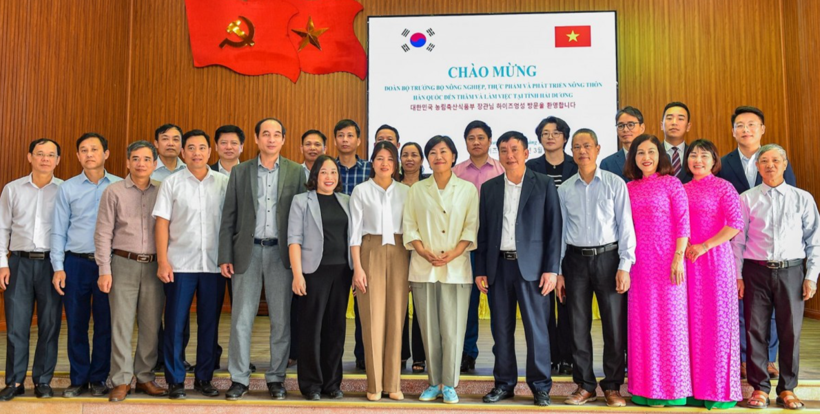 Bộ trưởng Bộ Nông nghiệp Hàn Quốc thăm vùng sản xuất cà rốt tại Hải Dương