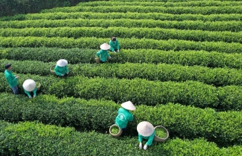 Giảm phát thải khí nhà kính là vấn đề của toàn xã hội